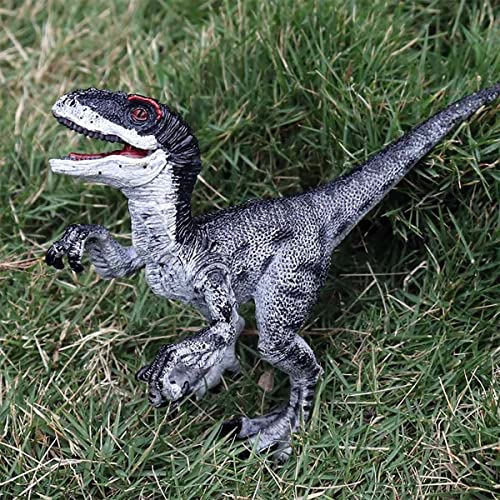 Coyka - Dinosaur Toys Park - Dino World Model - Jurassic Action Figures - Velociraptor Great Predator – Black And White #TOP5