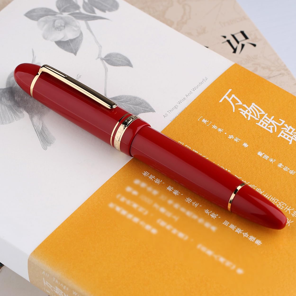 erofa Majohn P141 Piston NO.8 Fountain Pen, Red Resin with Ink Window, Gift Pen with Box, Gold Finish - Image 4