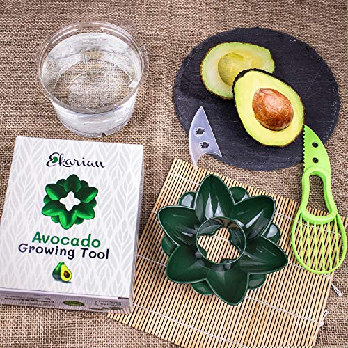 EKARIAN Avocado Growing Tool | Geschenke für Frauen | Avocado Pflanzen | Geburtstagsgeschenk | Avocado züchten | Avocado Schneider | Avocadobaum Pflanzen | Ebook - Image 7