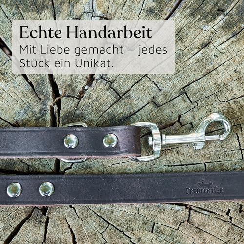 FREUDENTIER Hundeleine Leder 2m - Lederleine verstellbar - Führleine aus Fettleder für kleine, mittelgroße & große Hunde - Alsterufer Kollektion (Chocolate, 12mm breit)