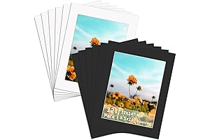 ZBEIVAN 12-Pack Picture Frame Mats Designed to Showcase Documents, Photos and Artworks