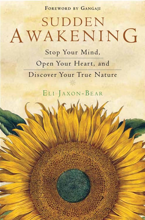 Buy Sudden Awakening: Stop Your Mind, Open Your Heart, and Discover Your True Nature — BookShops.in