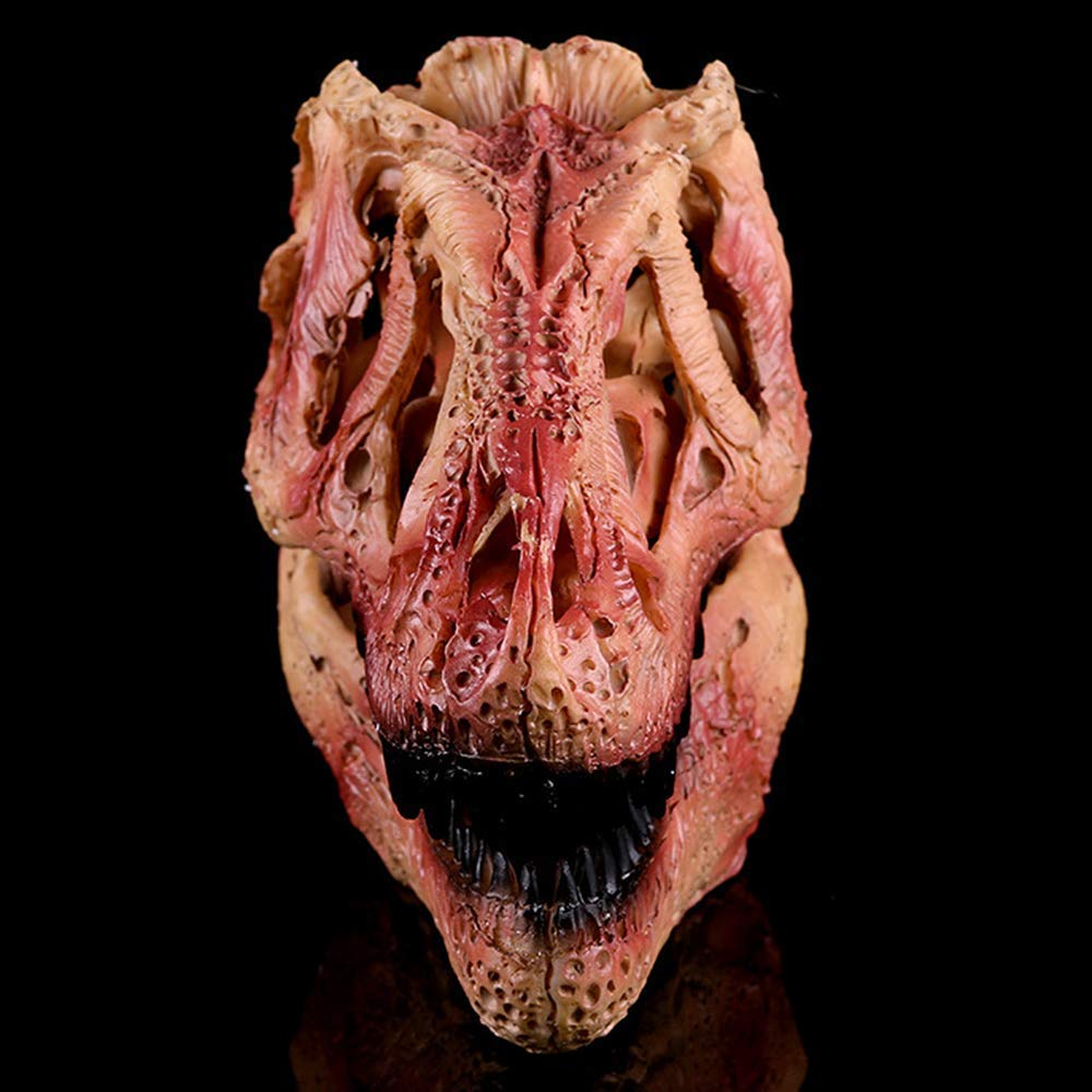 Amazon.co.jp: ティラノサウルスの頭蓋骨 恐竜の頭蓋骨レプリカ 樹脂