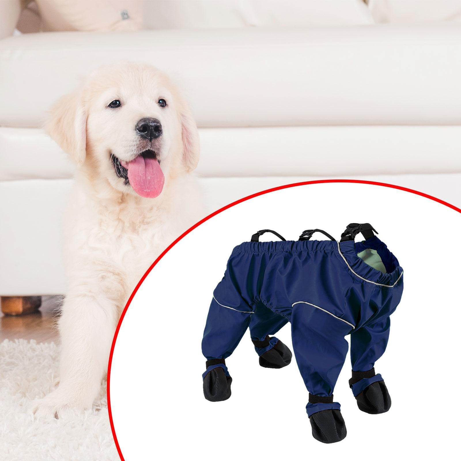 F Fityle Chaussures pour Chien avec Bretelles et Protections de Pattes, XL