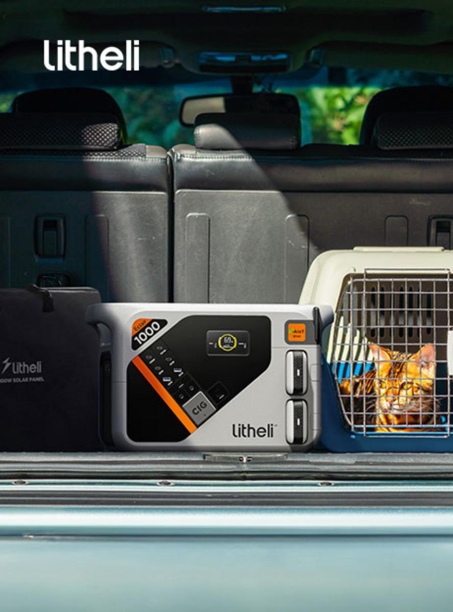 Amazon.com : Litheli Portable Power Station Eclair 1000