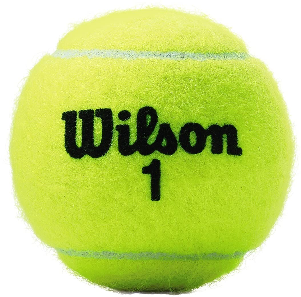 Wilson Championship 3 Ball Can -DS