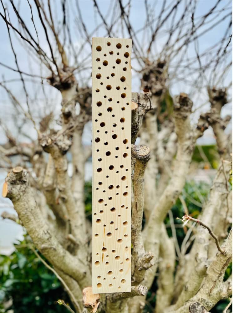 Wildbienen - Insektenhotel Nisthilfe Holz Stamm Naturbelassen 30-90 cm Bienenhotel Stamm Insektenhotel Wildbienen Massivholz Wildbienenhotel (60 cm)