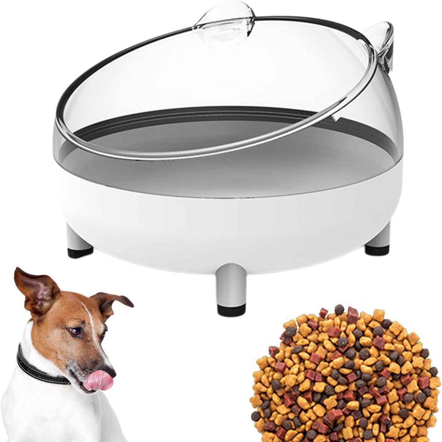 See full amazon price history chart for Jukmen Small Animal Hamster Sand Bath Container with 30g Natural Wood Chips Toilet Box for Small Pets Bathroom Gerbil Rat Cage Accessory || Pack of 1 Jukmen Small Animal Hamster Sand Bath Container with 30g Natural Wood Chips Toilet Box for Small Pets Bathroom Gerbil Rat Cage Accessory || Pack of 1 (B0D5TVPF6B) Amazon Price History, Amazon Price Tracker
