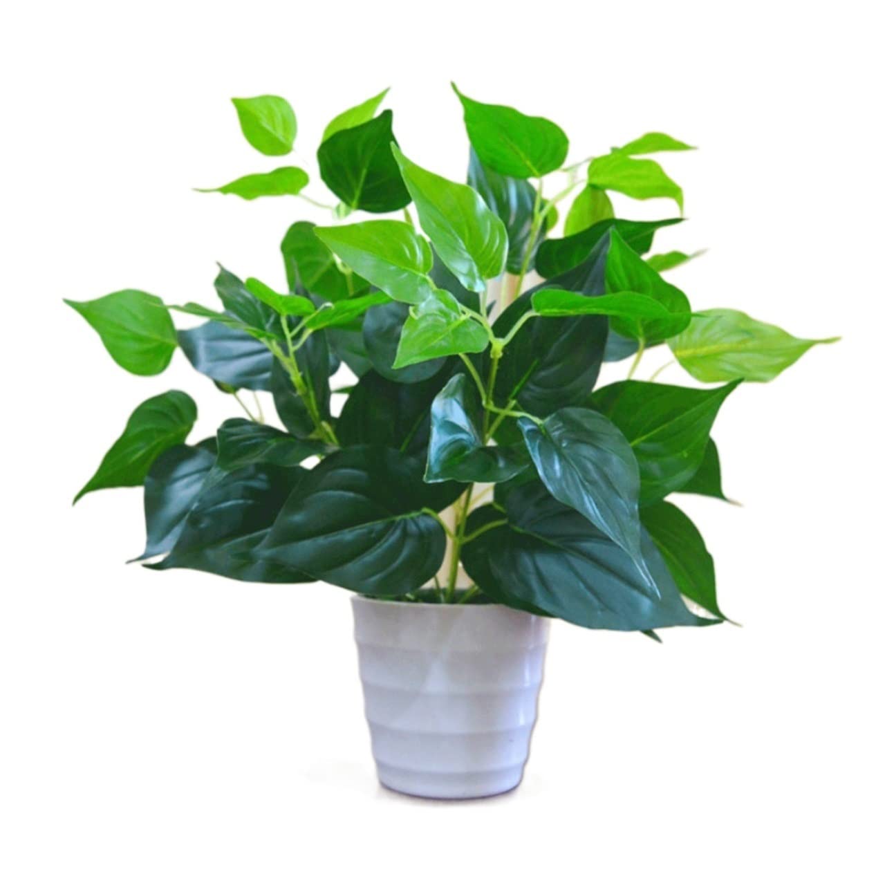 Plantes artificielles d'intérieur d'aneth vert en pot pour bureau