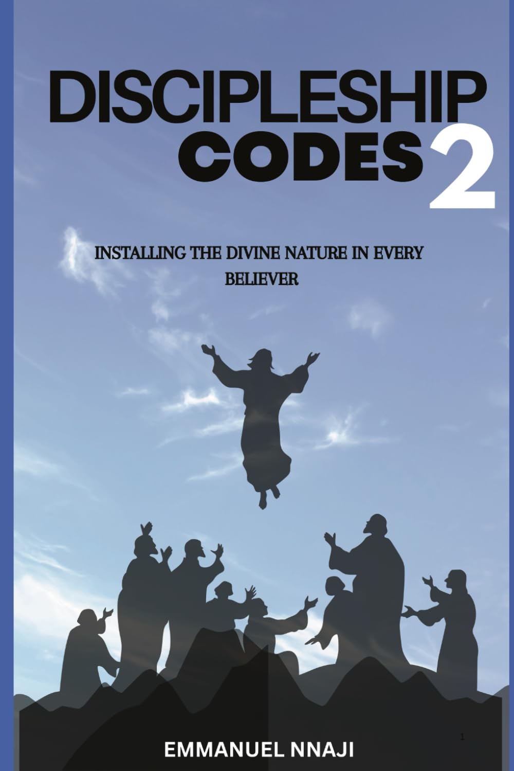Discipleship Codes 2: Installing the Divine Nature in Every Believer. Second Volume