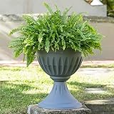 Zoom IMG-1 bama vaso per fiori alba Zoom IMG-1 bama vaso per fiori alba