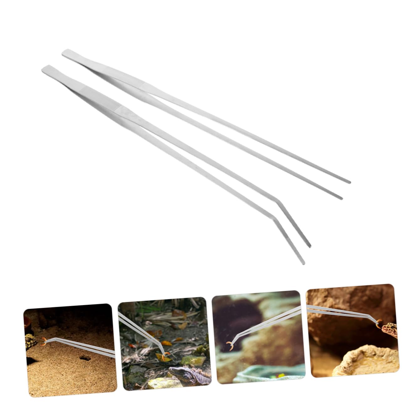 Yardwe 10piezas Pinzas De Alimentación para Reptiles De Metal Pinzas Largas para Acuarios y Terrarios Diseño Antideslizante y Cabezas y
