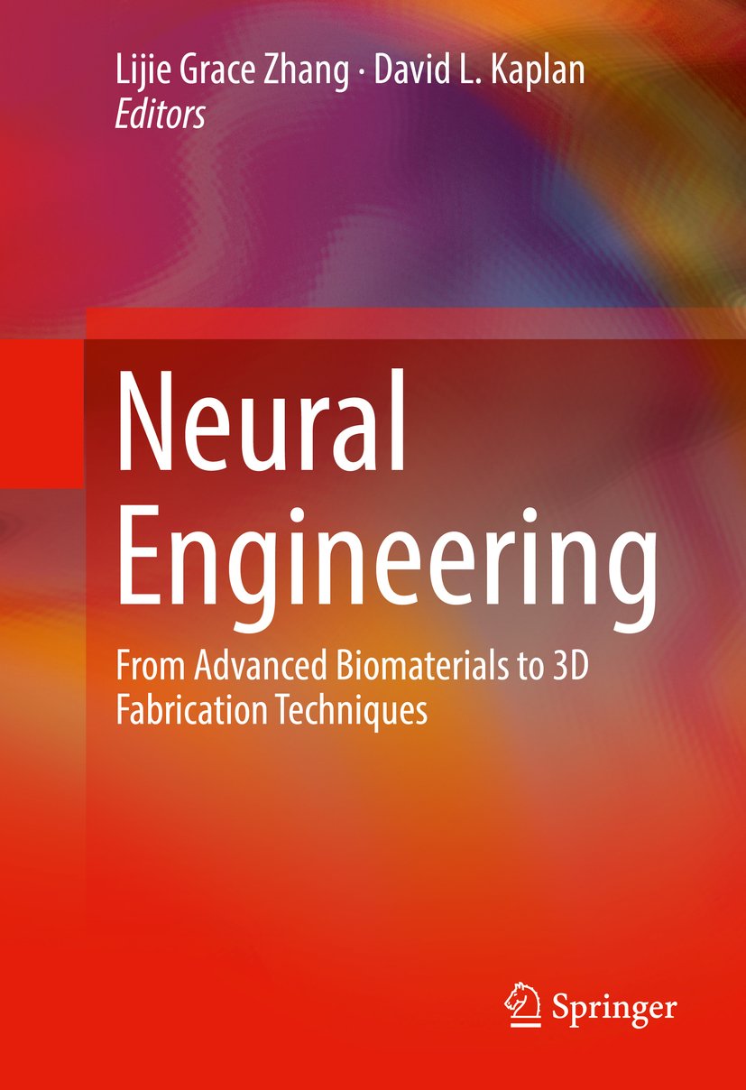Neural Engineering: From Advanced Biomaterials to 3D Fabrication Techniques (English Edition)