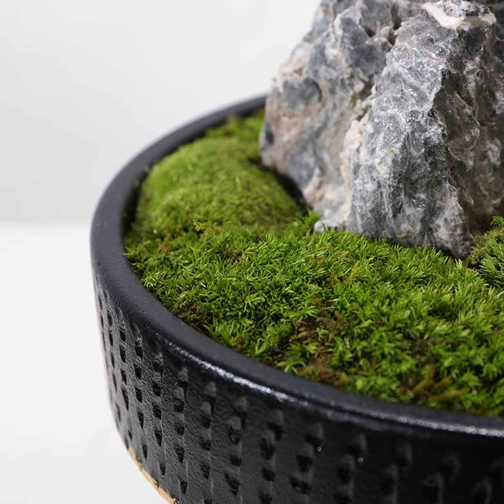 Home Piante finte Pianta Artificiale da Interno Muschio Pianta Verde Rocciosa Micro-Paesaggio Adatto per la casa Decorazioni in Vaso da Tavolo Bonsai Artificiale Decorazione (Colo