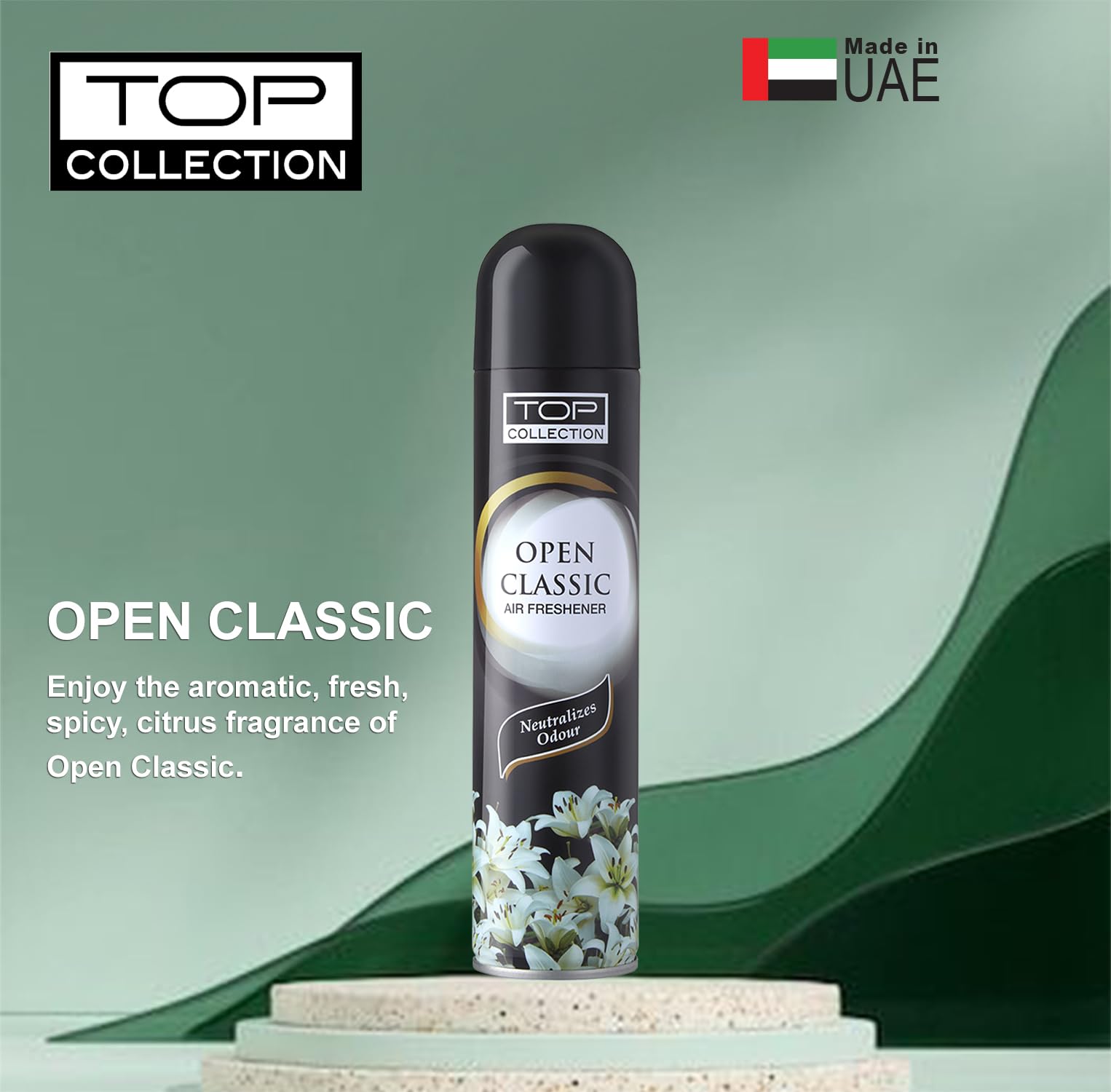 Top Collection Air Freshener - Open Classic 300ml (Pack of 2
