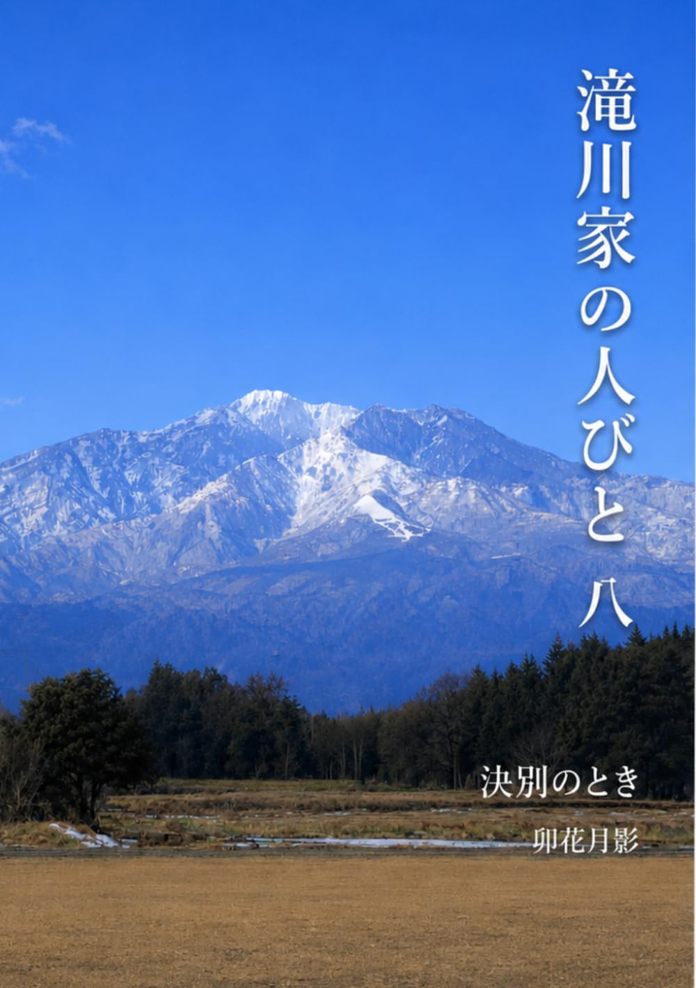 滝川家の人びと８: 決別のとき