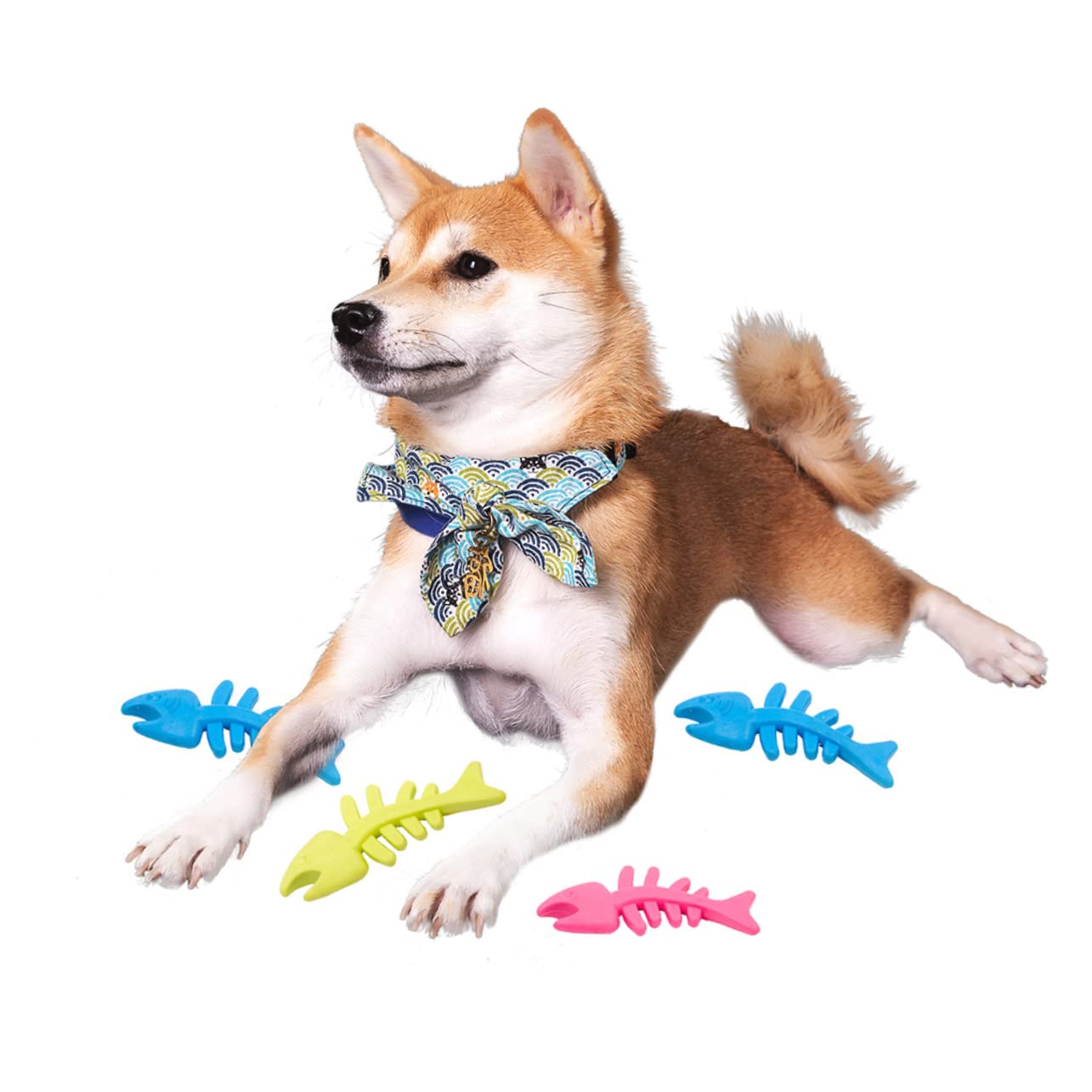 Giocattolo per Cani da Masticare a Forma di Pesce per Pulire i Denti e Ridurre l'Ansia in Tpr Alimentare 12,5 X 5 X 0,3 CM per Cuccioli e Cani Adulti
