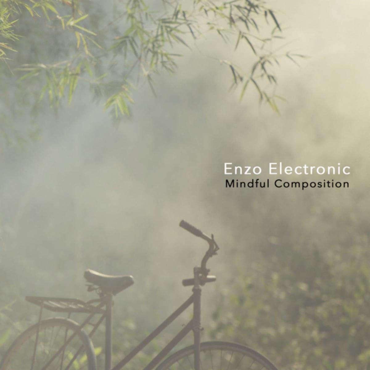 Enzo Electronic