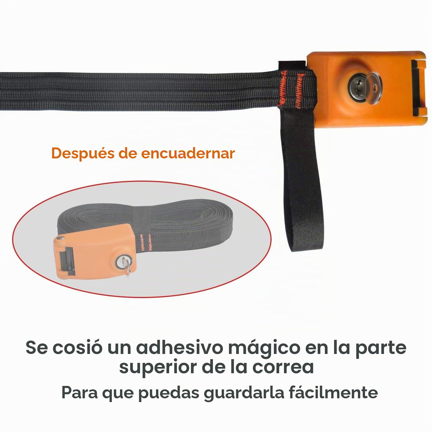 LegendTech-Correa de Amarre con Cerradura con 3 Cables de Acero Inoxidable, 2 Unidades