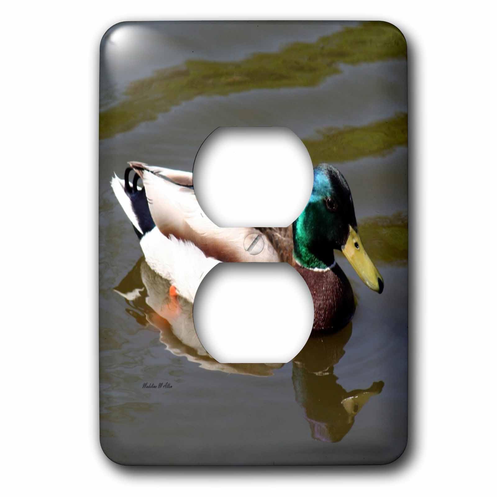 Canard colvert photo plaque 2 prises multicolore 3dRose LSP_6565_6