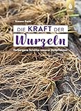 Die Kraft der Wurzeln: Verborgene Schätze unserer Heilpflanzen - Simone Detto 