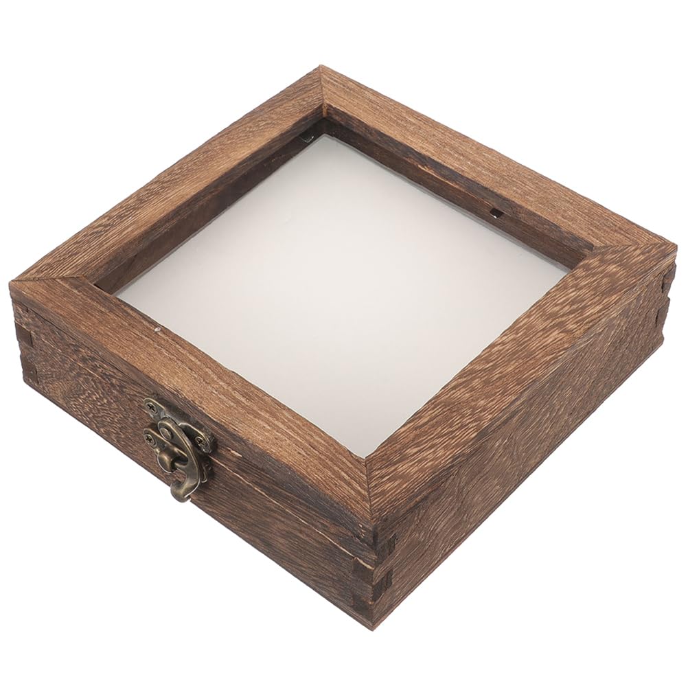 STOBAZA Vetrina in legno per campioni di insetti con coperchio trasparente, 10 x 10 x 4 cm, espositore compatto per la presentazione di farfalle e campioni di piante