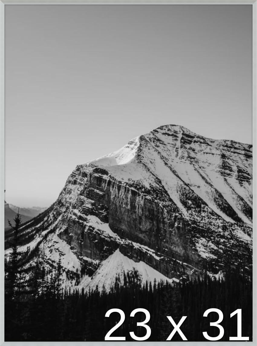 Frame It Easy 23 x 31 Satin Silver Metal Frame (Ashford)