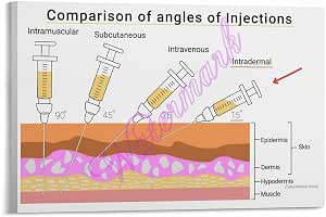 Amazon.com: Medical Injection Types Poster Intramuscular, Subcutaneous ...