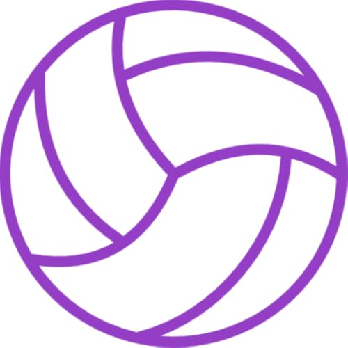 DXW volleyball Game