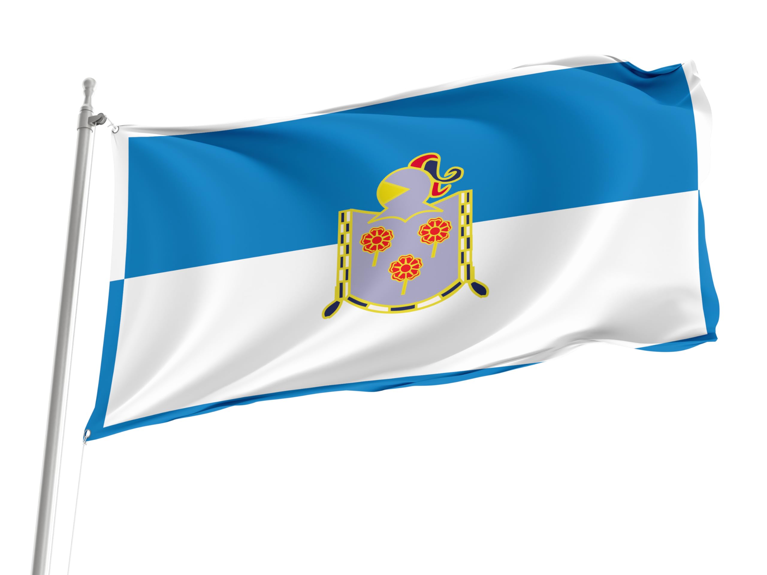 Amazon.com : Zizur Mayor, Navarre Flag, Unique Design Print