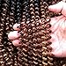 4 Packs 12 Inch Spring Twist Crochet Hair Synthetic Bomb Twist Crochet Braids Fluffy Braiding Hair Extensions (1B/30/27#)
