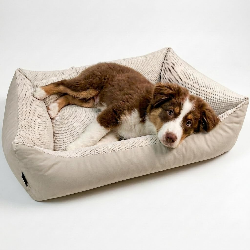 TEO 4L Textil Washable and Removable Bed for Small Dogs and Cats – Cushion for Dogs and Cats in Durable Fabric, Basket for Dogs – 60 x 40 cm, Beige