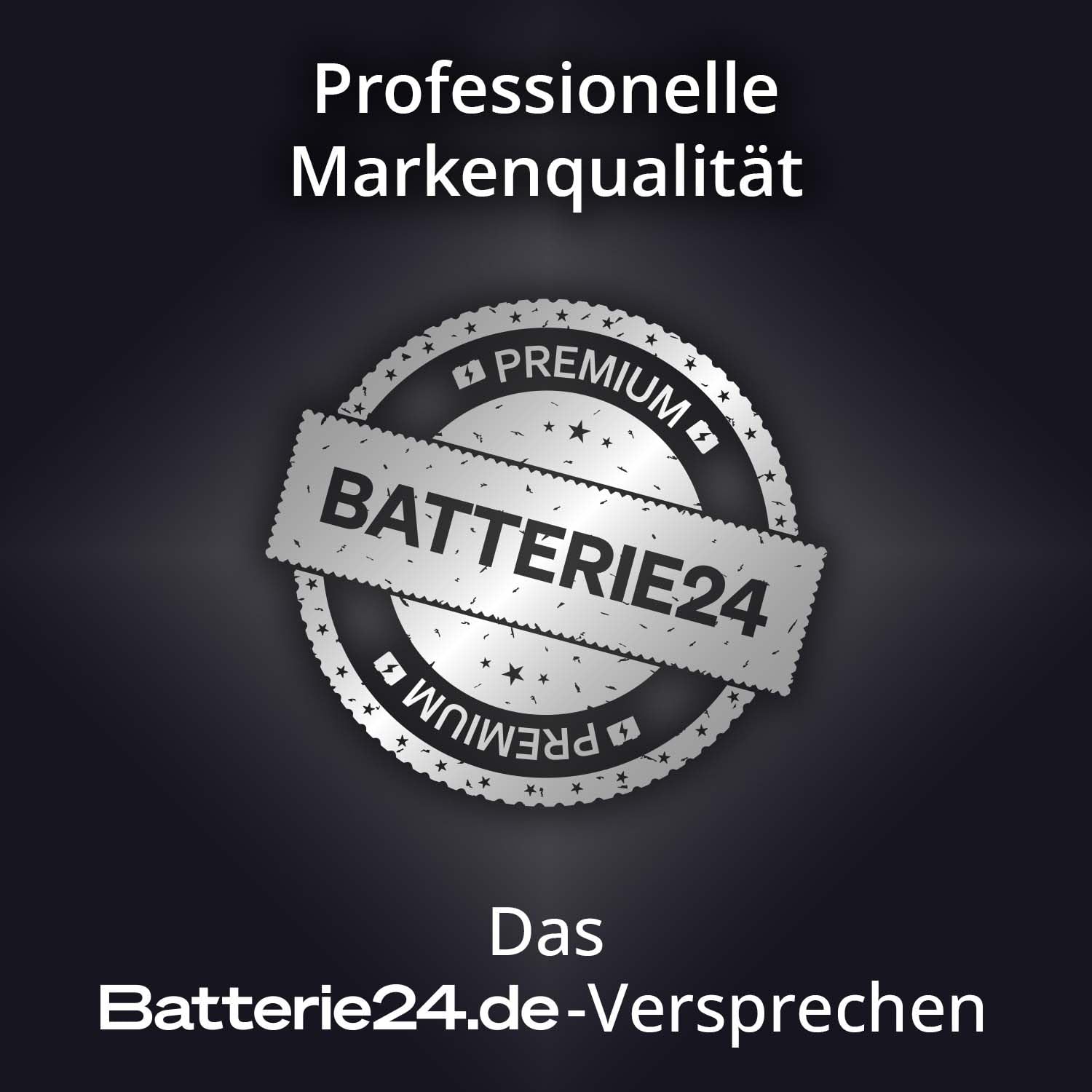 HeyVolt Asia Autobatterie 12V 42Ah 340A/EN Starterbatterie, absolut wartungsfrei ersetzt 35Ah 40Ah, Pluspol Links