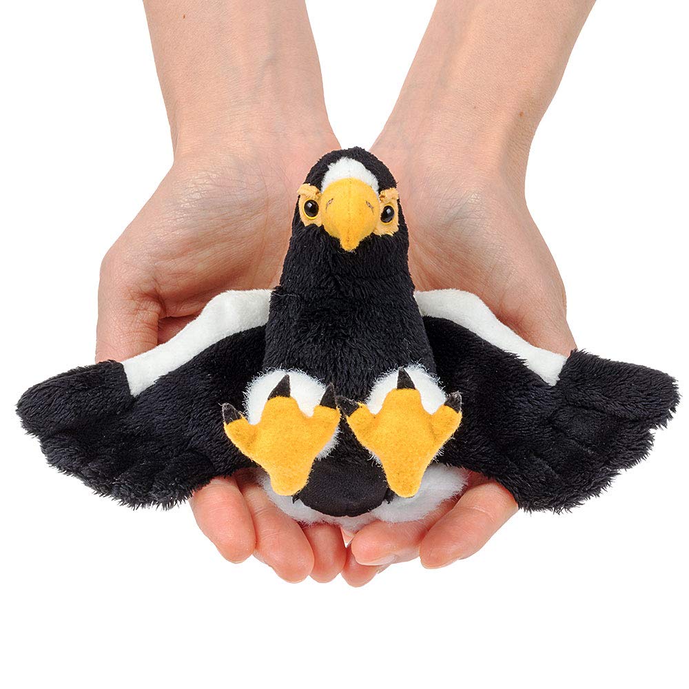 Amazon.co.jp: [COLORATA] カロラータ ぬいぐるみ