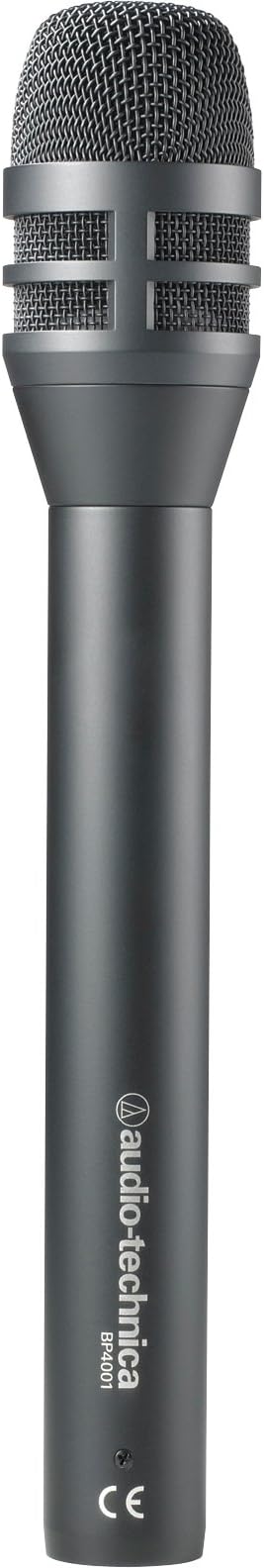Dynamic Interview Mic