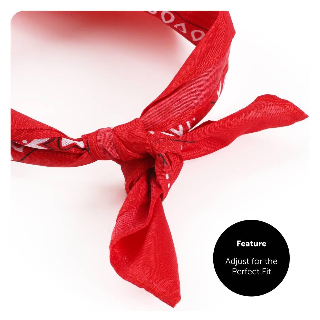 Sombrero de vaquero con tachuelas de estrella roja para niños con bandana de cachemira roja a juego, juego de accesorios de disfraz occidental para fiestas, festivales, eventos temáticos de rodeo