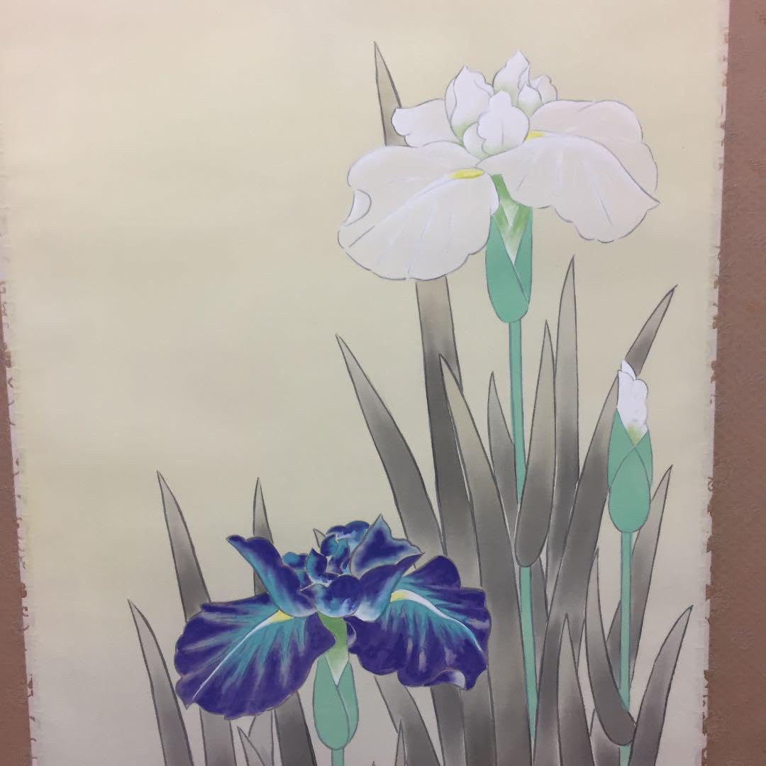 Amazon.co.jp: 掛け軸 柳川 朝邨作 菖蒲 桐箱付き : ホーム＆キッチン