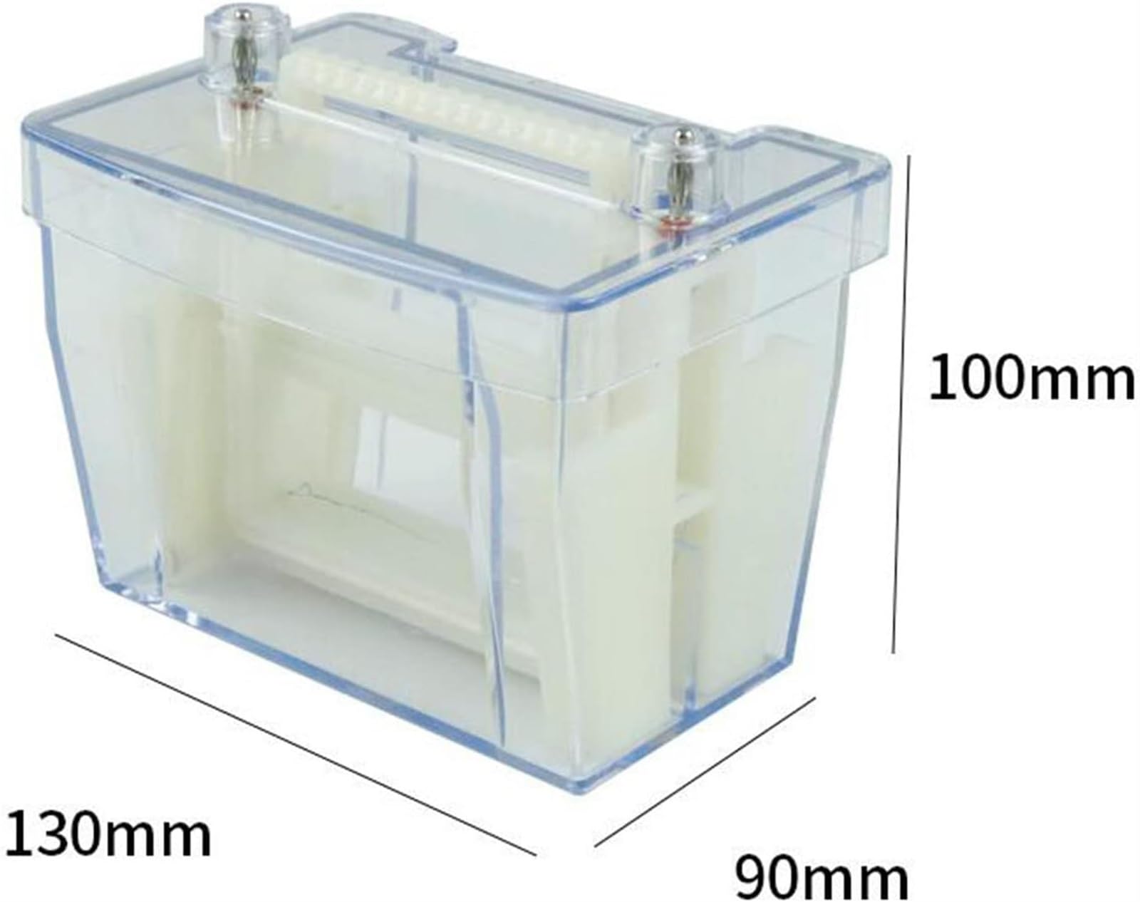 Mini-Vertikalelektrophorese-Tank – Demonstrationsinstrument Für Den Biologieunterricht An Gymnasien – Der Prozess Der Migration Elektrischer Teilchen In Der Horizontalen Und Vertikalen Elektrophorese