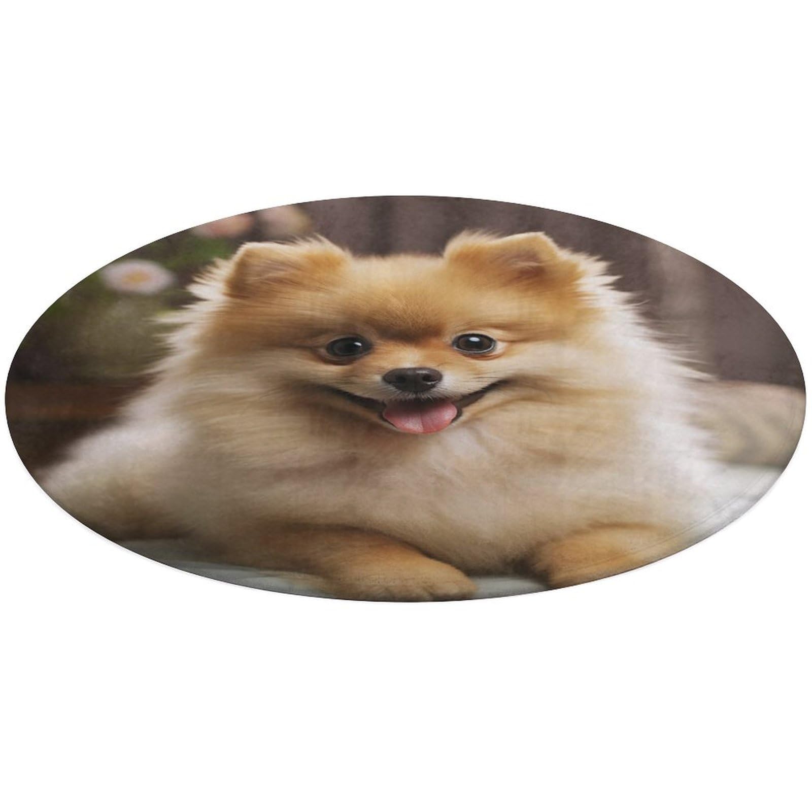 Alfombra de pomerania lavable de fácil limpieza para evitar suciedad en casa