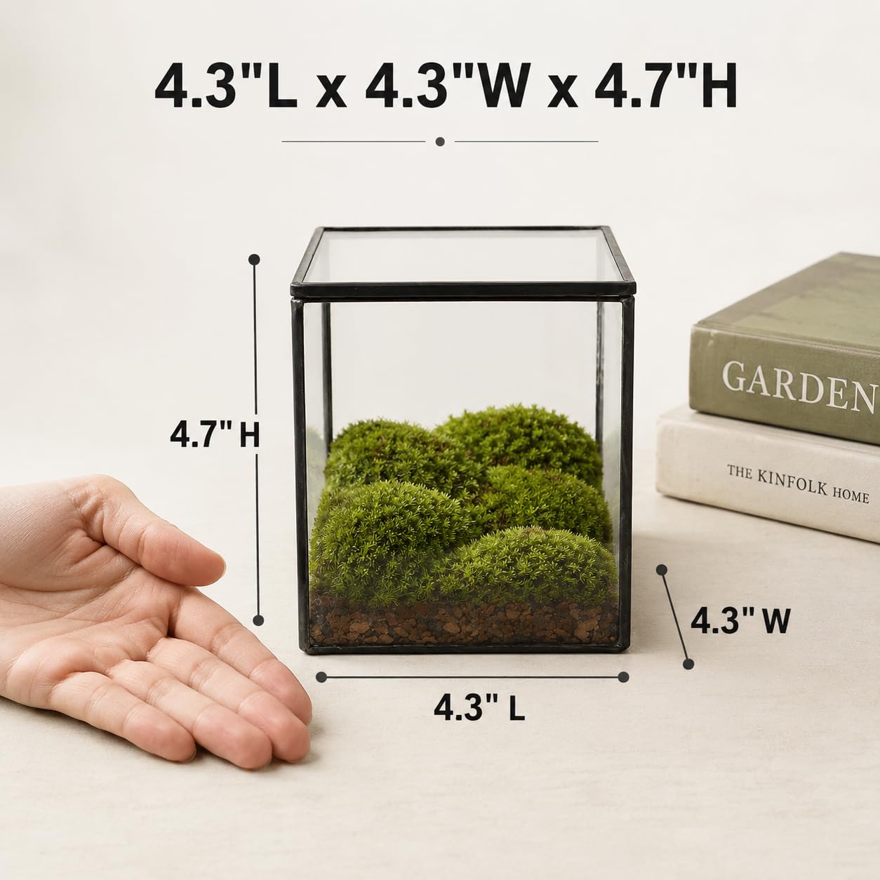 Pequeño terrario cuadrado de vidrio con tapa, maceta, transparente, 11 cm, musgo, suculentas, plantas de aire, minijardín de hadas, marco de metal negro, decoración de plantas de mesa de interior