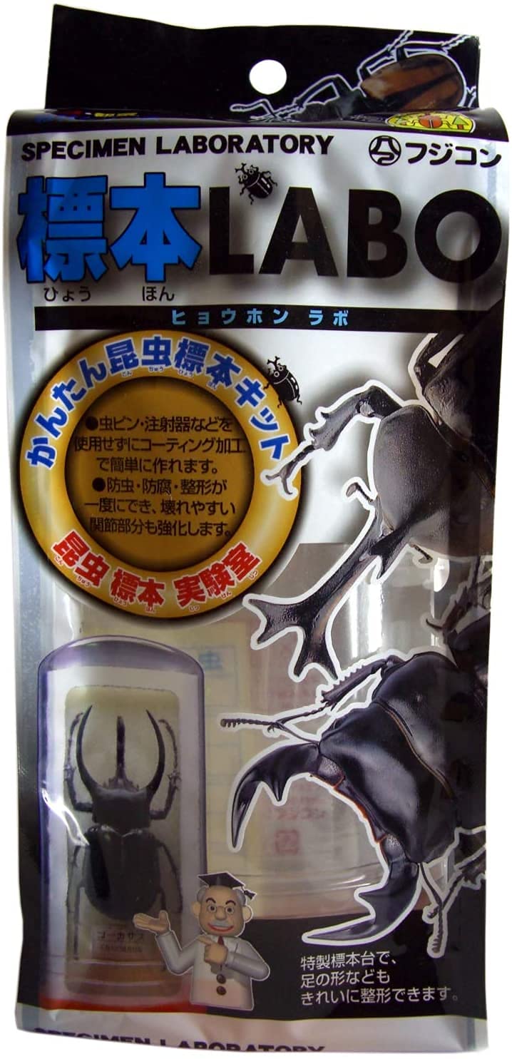 ※ikumatti購入野外標本２点セット ikumatti様専用購入野外標本2点セット