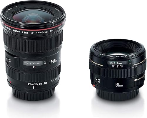 Miniatura 4 de Lente Canon EF 0.6-1.5 pulg f/4L USM ángulo ultra amplio con zoom para cámaras Canon SLR