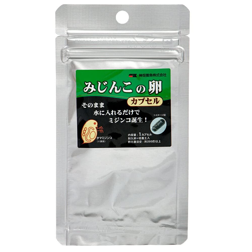 カミハタ みじんこの卵 稚魚の餌