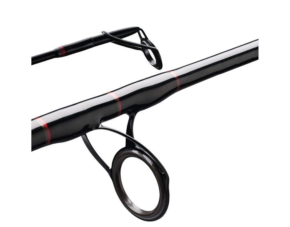 Amazon.com : PENN Rampage Jig 6'6” Nearshore/Offshore