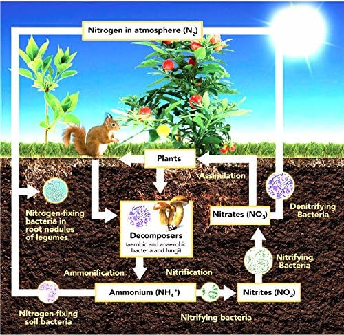 Miniatura 4 de Probiótico orgánico ligero para plantas y suelos de 1 galón