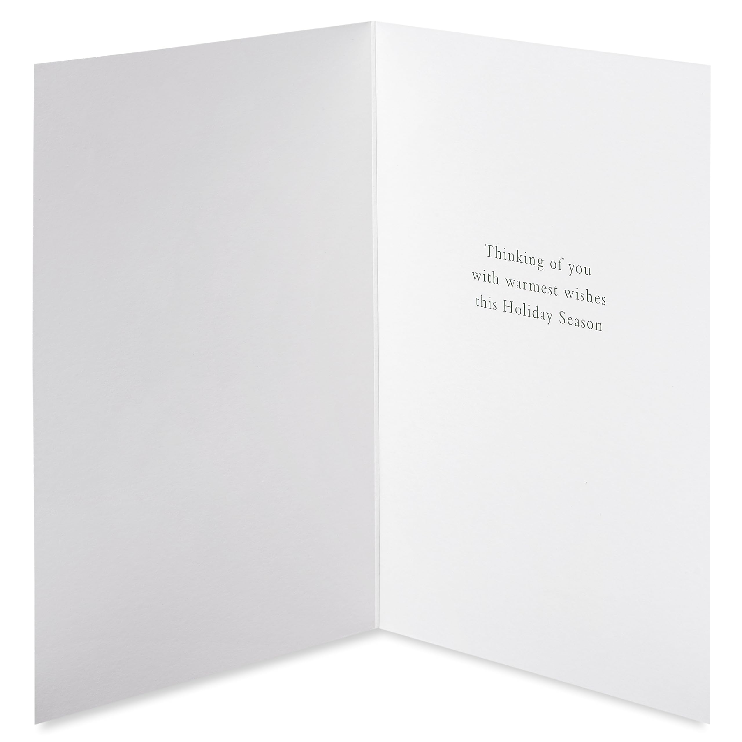 Aazon.co : Papyrus Holiday Cards Boxed With Envelopes, To A Wonderful Season, Warest Holiday