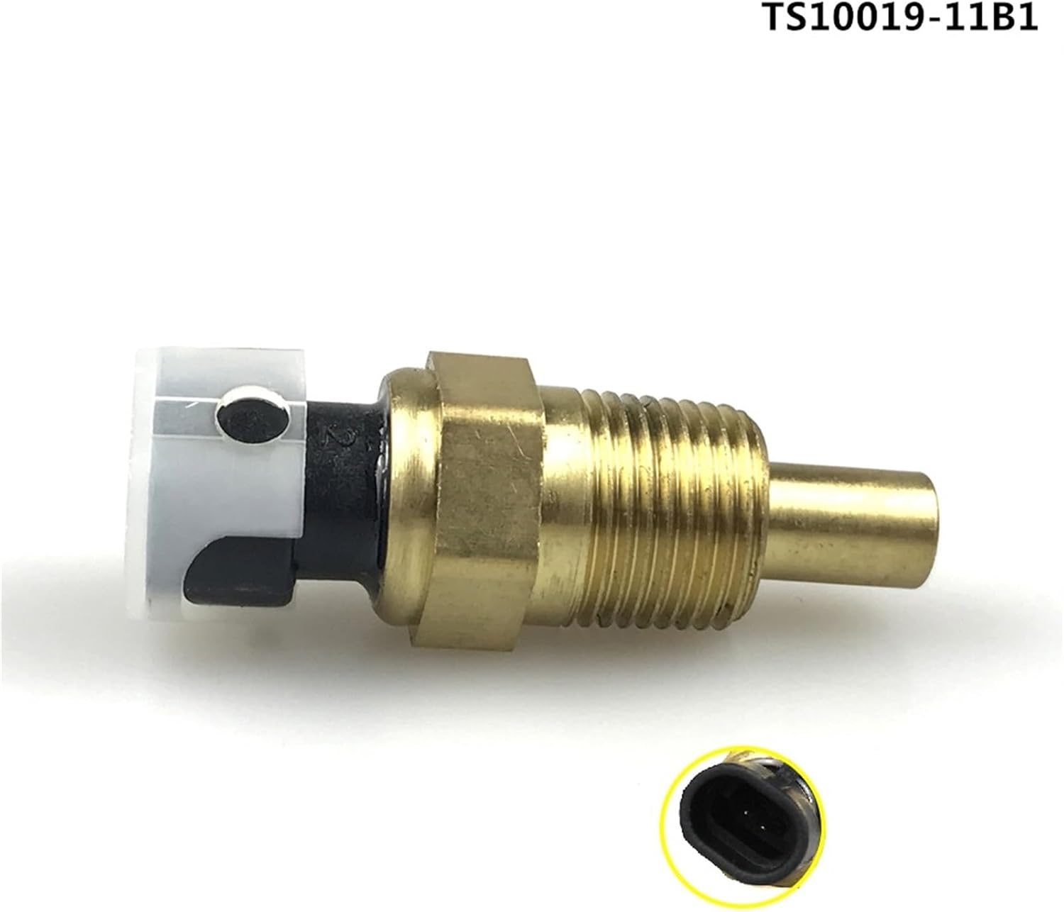 3300-4281 Temp Sensor 1Pcs