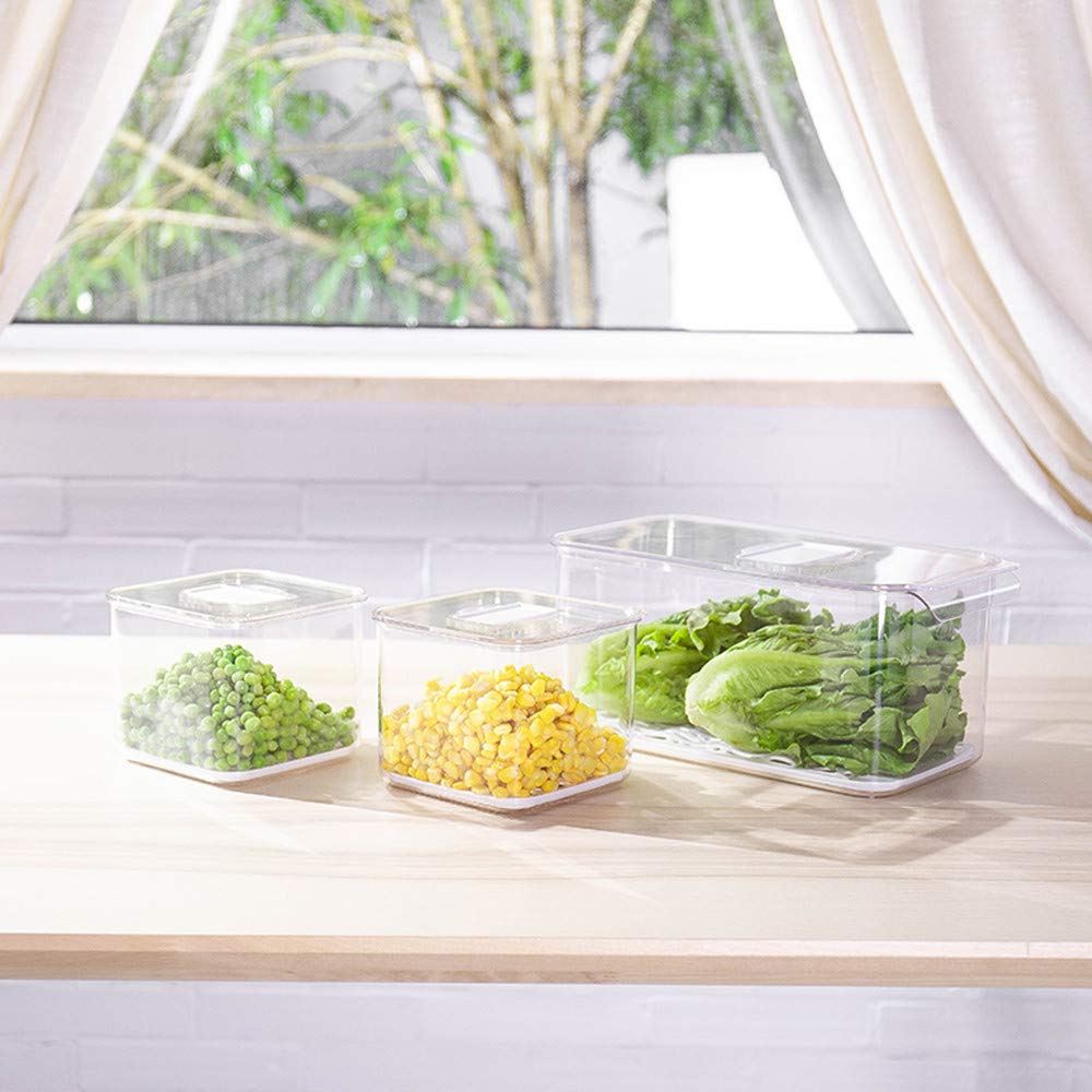 SANNO Fridge Food Storage Containers Produce Saver FreshWorks Produce