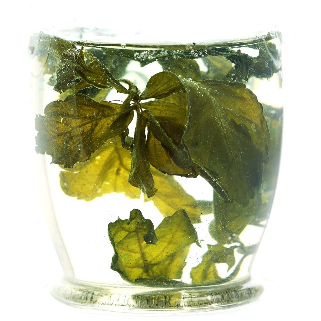 GOARTEA 2Pcs 250g / 17.6oz Premium Seven Leaf Jiaogulan Gynostemma Chinese Herbal GREEN TEA Loose Leaf