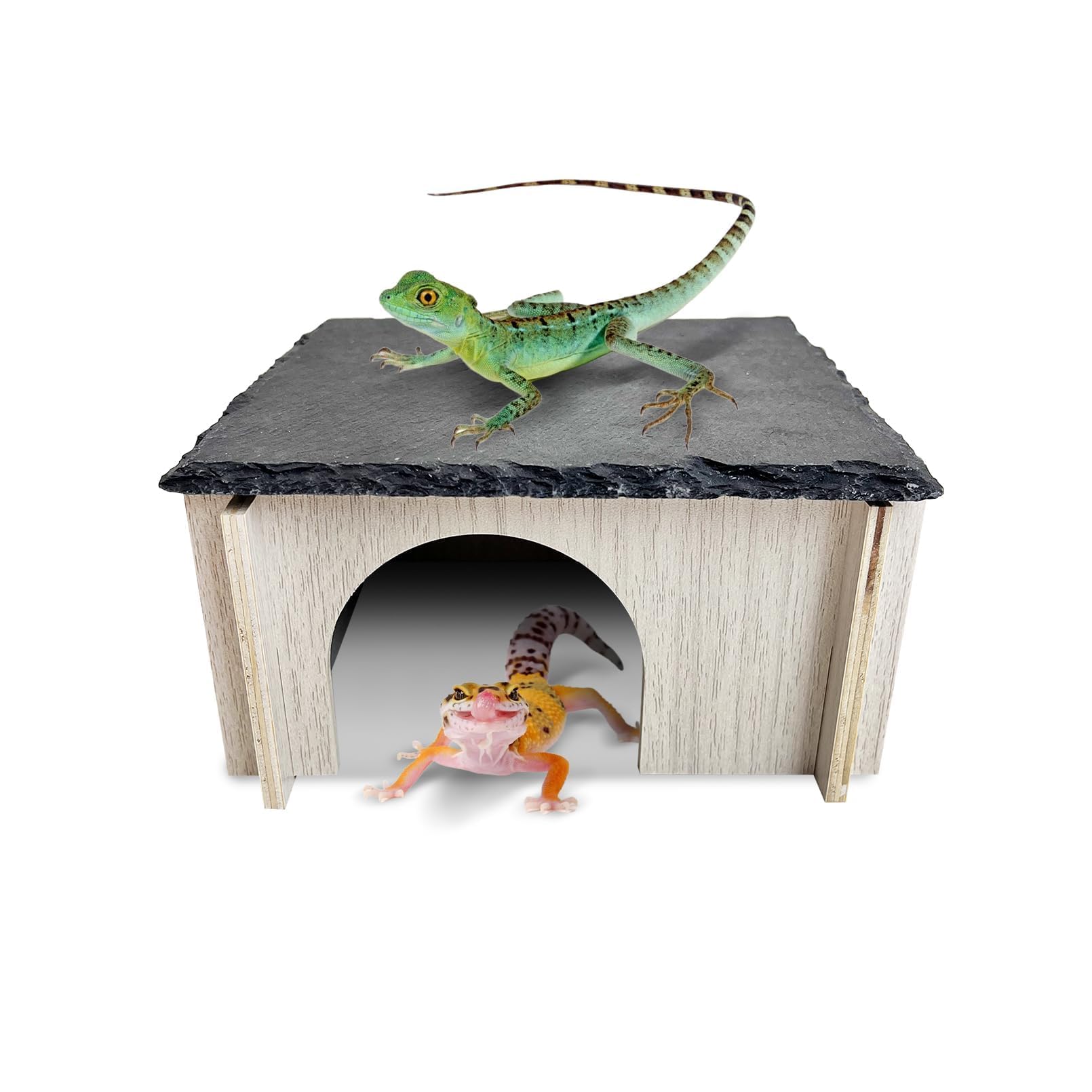 PINVNBY Bearded Dragon Basking Platform - habitat decor | Mubboo